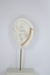 Ear Cuff Cravejado