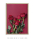 Imagem do Quadro Decorativo Bouquet de Rosas ref20