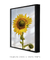 Quadro Decorativo Girassol ref18 - loja online