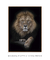 Quadro Decorativo Grande Leão Rei ref38 na internet
