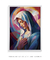 Quadro Decorativo Nossa Senhora das Graças ref35 - Limão Quadros Decorativos