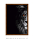 Quadro Decorativo Poderoso Leão Rei em Preto e Branco ref16 - comprar online
