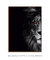 Quadro Decorativo Poderoso Leão Rei em Preto e Branco ref16 na internet