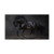 Quadro Decorativo Cavalo Negro - comprar online