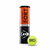 Tubo de 4 Pelotas Tenis | Padel Dunlop Fort Clay Court