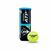 Tubo de 3 Pelotas Dunlop Championship ATP