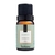 Essência Bamboo Via Aroma - 10ml