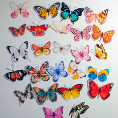 Stickers De Mariposas Transparente Impresas Scrapbooking X24 - Tuky Waingan Handmade