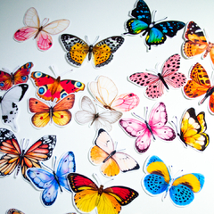 Stickers De Mariposas Transparente Impresas Scrapbooking X24 - comprar online