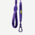 Guia para cachorros Airleash Violet- ZeeDog - comprar online