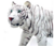 Estatueta Tigre Branco extra grande imagem em resina veronese 50cm - loja online