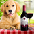 Vinho Dogs Wine para Cães 250ml - comprar online