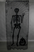 Painel Halloween Esqueleto Osso 0,97 X 2,13 Cm Decorativo na internet