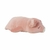 Peluche Almohada Chanchito 44.5 cm - 61 cm