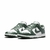 Nike Dunk Low Michigan State