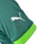 Camisa Palmeiras I 23/24 Jogador Puma Masculina - Verde - R21 Imports | Artigos Esportivos