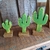 Trio de Cactos decorativos na internet