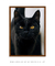 Imagem do Quadro Black Cat
