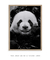 Imagem do Quadro Panda Feliz