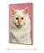 Quadro White Cat - comprar online