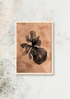 coralina sienna | 50 x 70 cm - comprar online