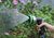 Pistola De Água para Jardim engate rápido para Mangueira cod 4041 - OliverTop