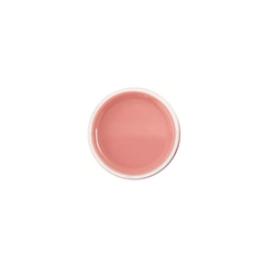 Gel Anylovy Pink Nude 24g na internet