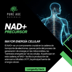 NAD+ Precursor - comprar en línea