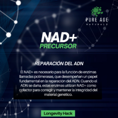 NAD+ Precursor en internet