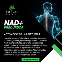 NAD+ Precursor - PureAge Naturals