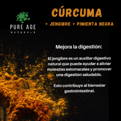 Cúrcuma (Turmeric) - PureAge Naturals