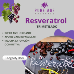 Resveratrol Trimetildo