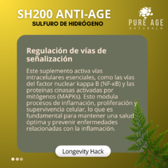 SH200 Anti-Age - tienda en línea