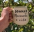 Caneca Sonhar movimenta a vida - comprar online