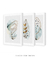 Conjunto de Quadros Decorativos Suave Beleza - comprar online
