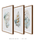 Conjunto de Quadros Decorativos Suave Beleza - Quadros Decorativos de Parede | We Frame Galeria de Arte Online