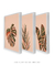 Conjuntos de Quadros Decorativos Folhagens Minimalistas - Quadros Decorativos de Parede | We Frame Galeria de Arte Online