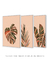 Conjuntos de Quadros Decorativos Folhagens Minimalistas - Quadros Decorativos de Parede | We Frame Galeria de Arte Online