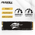 PUSKILL SSD M.2 NVMe 1TB 512GB 256GB 128GB PCIe M2 2280 Disco Rígido Interno de - comprar online