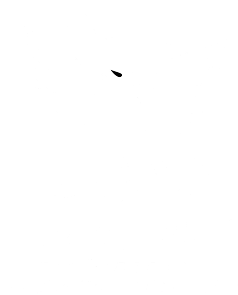 Griffon Sports