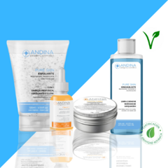 Kit Perfeito - Derma Hidra Creme Hidratante Facial + Glacial C - Vitamina C - Antioxidante + PureSkin Demaquilante + PureSkin Esfoliante