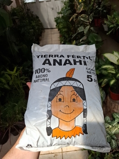 Sustrato para plantas de interior Anahí 5 lts