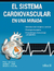 EL SISTEMA CARDIOVASCULAR EN UNA MIRADA