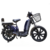 Panda 800w WD-1 Electric Bike