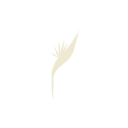 Logo de daluaarte.com.br