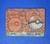 Carteira - Porta Cartões - Pokémon Pokebola na internet