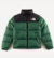 jaqueta-puffer-the-north-face-verde