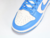 nike-dunk-low-coast