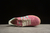 Adidas Originals Gazelle - Dfinitty - Sneakers - Exclusividade e Elegancia