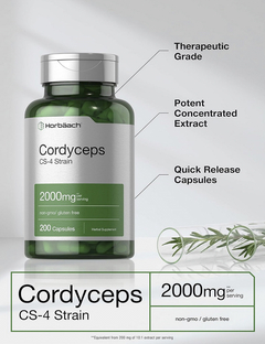 HONGO CORDYCEPS - 2000 MG - HORBAACH - 200 CAPSULAS en internet